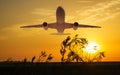 Passenger plane fly up over take-off runway from airport at sunset, sunrise Royalty Free Stock Photo