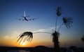 Passenger plane fly up over take-off runway from airport at sunset, sunrise Royalty Free Stock Photo