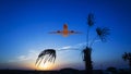 Passenger plane fly up over take-off runway from airport at sunset, sunrise Royalty Free Stock Photo