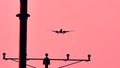 Plane flying among branches, silhouette, closeup view Royalty Free Stock Photo