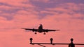 Plane flying among branches, silhouette, closeup view Royalty Free Stock Photo