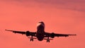 Plane flying among branches, silhouette, closeup view Royalty Free Stock Photo