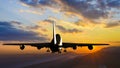 Passenger plane is landing Royalty Free Stock Photo