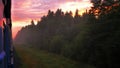 Passenger train goes by railway across the summer forest greenery. Foggy morning sunrise sun on horizon. POV from the Royalty Free Stock Photo