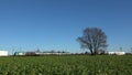 Passenger train passing into the open rural landscape. Germany January 2, 2019.