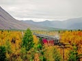 The  train travels through the forest. Railway through Royalty Free Stock Photo