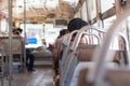 Passengers and Empty seats on the bus Royalty Free Stock Photo