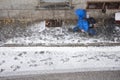 Passer-by in snow