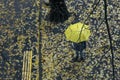 Passers-by on the street with umbrellas on rainy autumn day. Top view