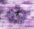 Passiflora Incarnata-Top view of pile Purple passion flower on painted wooden floor