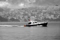Passing the Bosphorus Royalty Free Stock Photo