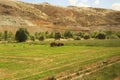 Passing farmers, farming, agriculture on the train ride in the Eastern Express, Dogu Ekspresi from Kars to Ankara, red tractor on