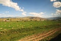 Passing farming, agriculture on the train ride in the Eastern Express, Dogu Ekspresi from Kars to Ankara, green field with hay