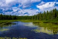 Passing storm, cascade river, minnesota Royalty Free Stock Photo