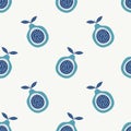Passion blue fruit pattern, with leaves, stylized drawing in boho. Royalty Free Stock Photo