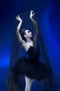 Close-up beautiful ballerina in black tutu and stage make-up posing with black transparent fabric blue studio backgorund Royalty Free Stock Photo