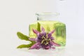 Passion flower aromatherapy essential oil Royalty Free Stock Photo