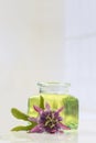 Passion flower aromatherapy essential oil Royalty Free Stock Photo