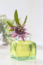 Passion flower aromatherapy essential oil Royalty Free Stock Photo