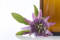 Passion flower aromatherapy essential oil Royalty Free Stock Photo