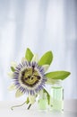 Passion flower with aromatherapy essential oil glass bottle Royalty Free Stock Photo