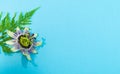 Passion flower with fern leaf on a blue background Flora concept. Copy space Royalty Free Stock Photo