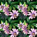 Passion flower plant, shadow watercolor seamless pattern isolated on dark. Royalty Free Stock Photo