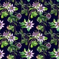 Passion flower plant watercolor seamless pattern isolated on dark Royalty Free Stock Photo