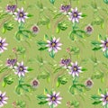 Passion flower plant watercolor seamless pattern isolated on green. Royalty Free Stock Photo