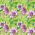 Passion flower plant watercolor seamless pattern isolated on green. Royalty Free Stock Photo