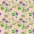 Passion flower plant watercolor seamless pattern isolated on pink Royalty Free Stock Photo