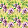 Passion flower plant watercolor seamless pattern isolated on yellow. Royalty Free Stock Photo