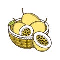 Passion Fruit in Basket - Tropical Fruit Illustration Royalty Free Stock Photo