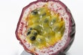 Passion Fruit Cross Section