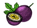 Passion fruit engraving raster illustration