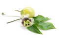 Passion fruit flower and leaves on white background Royalty Free Stock Photo