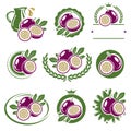 Passion fruit labels and elements set. Vector