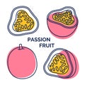 Passion fruit logo. Passiflora tropical fruit icon set. Collection of exotic fruit from outline and silhouette. Vector hand drawn Royalty Free Stock Photo