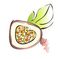 Passion fruit, maracuja. Vector illustration, isolated on white. Royalty Free Stock Photo