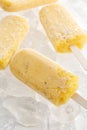 Passion fruit popsicle yummy fresh summer fruit sweet dessert still life Royalty Free Stock Photo