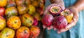 Passion fruit selection hand holding fresh fruit on blurred background with copy space Royalty Free Stock Photo