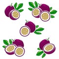 Passion fruit set. Vector