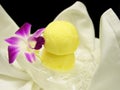 Passion fruit sorbet Royalty Free Stock Photo