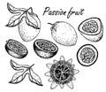 Passion fruit vector drawing set. Hand drawn tropical food illustration. Engraved summer objects. Plant, leaves, flower Royalty Free Stock Photo