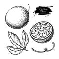 Passion fruit vector drawing set. Hand drawn tropical food illustration. Engraved summer passionfruit.