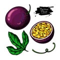 Passion fruit vector drawing set. Hand drawn tropical food illustration. Summer passionfruit objects. Royalty Free Stock Photo