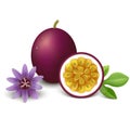Passion Fruit. Vector Illustration.