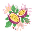 Passion fruit vector illustration. Abstract watercolor juicy fruit splash Royalty Free Stock Photo