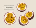 Passion fruit vector illustration Royalty Free Stock Photo