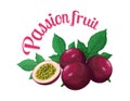 Passion fruit. Vector illustration made in a realistic style Royalty Free Stock Photo